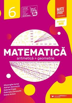 Matematica - Aritmetica, geometrie, Clasa a VI-a - Standard