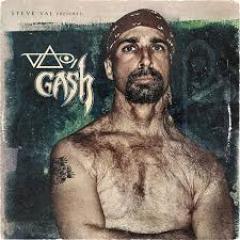 Vai/Gash - Vinyl