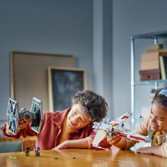 LEGO Star Wars - Hibrid TIE Fighter si X-Wing(75393)