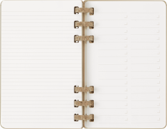 Agenda 2024/2025 - Student Life 12-Month Diary - Large, Hard Cover, Spiral - Kiwi