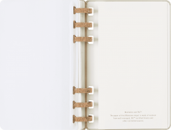 Agenda 2024/2025 - Student Life 12-Month Diary - Large, Hard Cover, Spiral - Kiwi