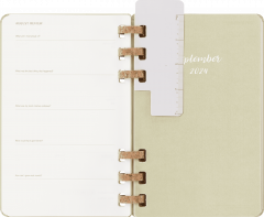 Agenda 2024/2025 - Student Life 12-Month Diary - Large, Hard Cover, Spiral - Kiwi