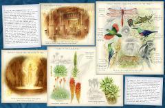 Nine Worlds in Nine Nights