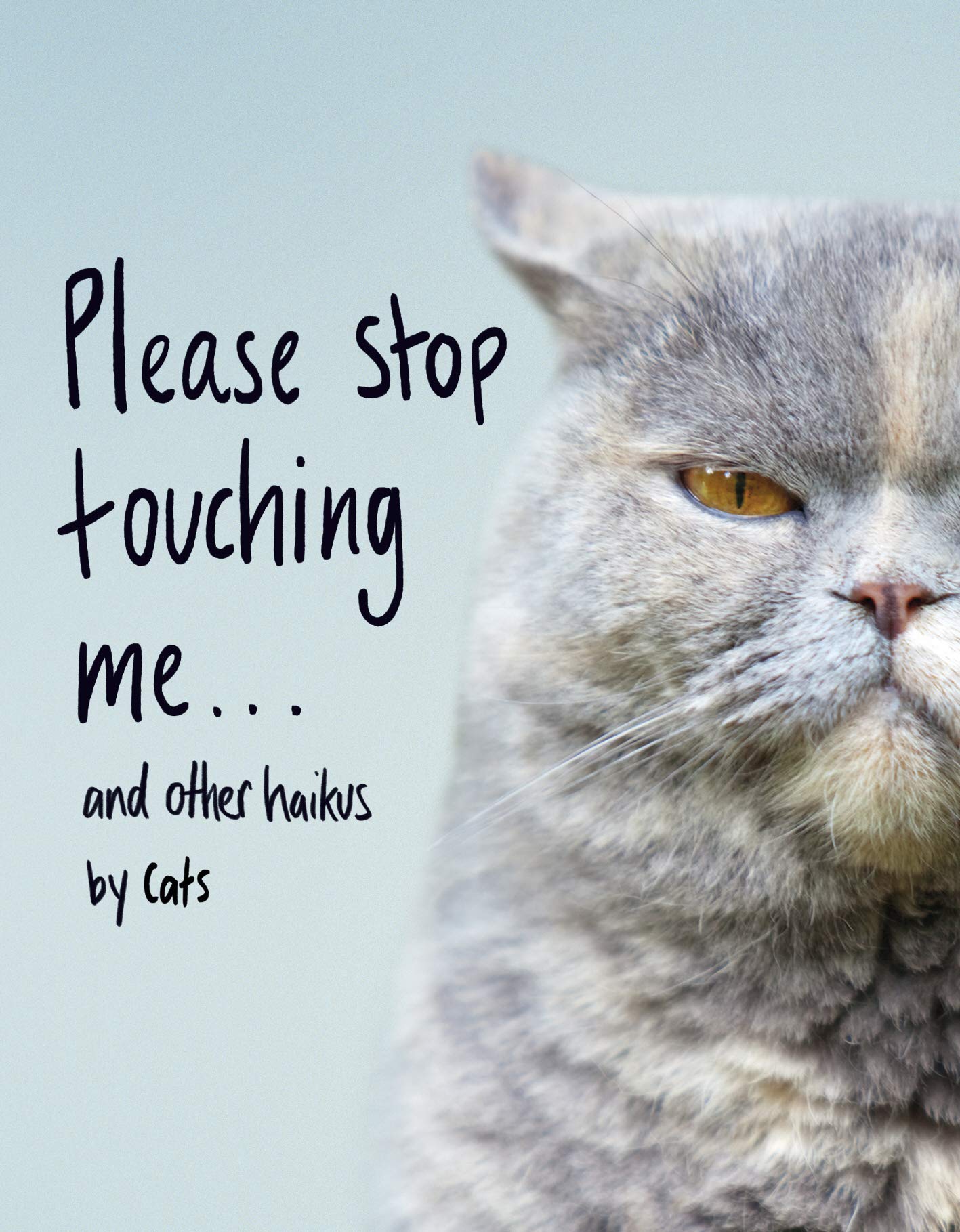 please-stop-touching-me-and-other-haikus-by-cats-jamie-coleman