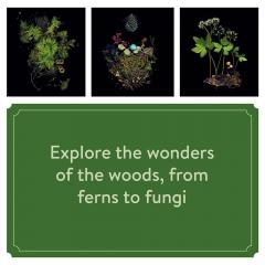 Calendar 2025 - Deep Dark Forest