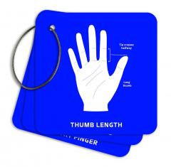 Palmistry Flashcards 