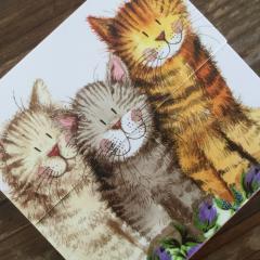 Carnet magnetic - Mini - Three Amigos Cat