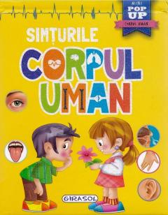 Corpul uman - Simturile