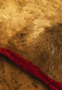 Coperta cărții Read Thread - The Story of the Red Thread