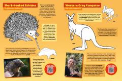 Colour With Chris Humfrey's Awesome Australian Animals