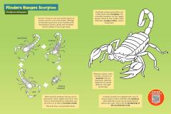 Colour with Chris Humfrey's Coolest Creepy Crawlies