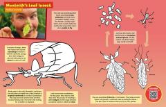 Colour with Chris Humfrey's Coolest Creepy Crawlies