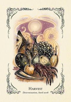 The Green Witch's Oracle Deck