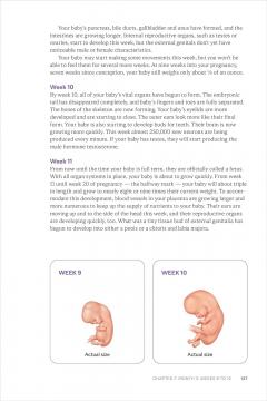 Mayo Clinic Guide to a Healthy Pregnancy