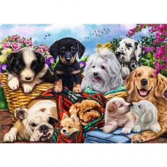 Puzzle 500 piese - Lazy Doggies