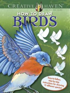 Coperta cărții Creative Haven How to Draw Birds