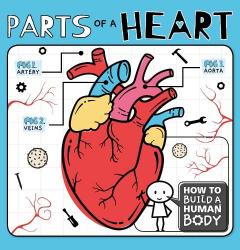 Parts of a Heart
