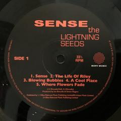 Sense - Vinyl