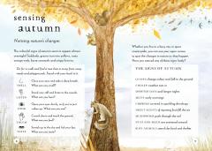 A Field Guide to Autumn