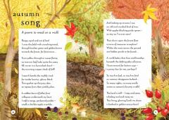 A Field Guide to Autumn