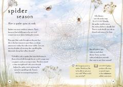 A Field Guide to Autumn