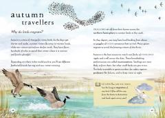 A Field Guide to Autumn