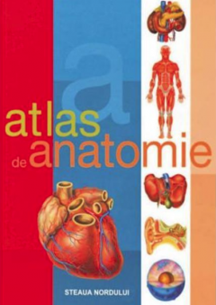 Atlas de anatomie