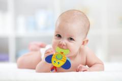 Jucarie - Albina - Dentitie