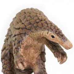 Figurina - Pangolin