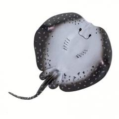 Figurina - Peste Marble Ray