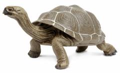 Figurina - Broasca testoasa terestra