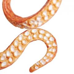 Figurina - Caracatita din Pacific