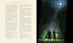 Harry Potter and the Goblet of Fire - Illustrated Edition