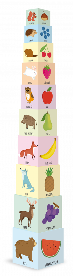 Set educativ - Ne jucam si invatam - forme, fructe, obiecte, numere, animale