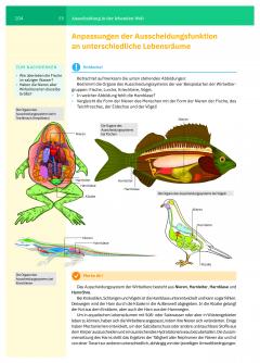 Manual de biologie. Clasa a VI-a (limba germana)