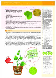 Manual de biologie. Clasa a VI-a (limba germana)