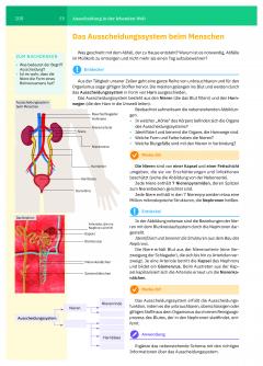 Manual de biologie. Clasa a VI-a (limba germana)