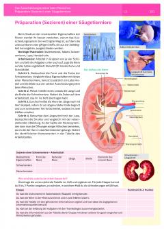 Manual de biologie. Clasa a VI-a (limba germana)