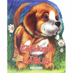 Catelusul Labus Jan Kazimiers Siwek