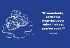 The Little Book of Negroni