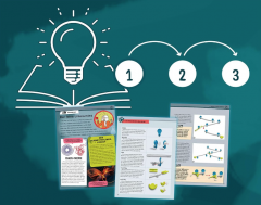 Set constructie - Gecko Run - Starter Set