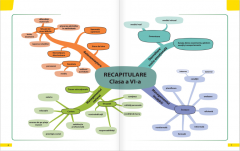 Consiliere si dezvoltare personala - Manual pentru clasa a VII-a