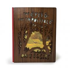 Coperta cărții Eyes and the Impossible