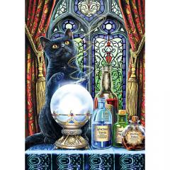 Puzzle 1000 de piese - The Witch's Apprentice