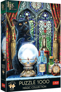 Puzzle 1000 de piese - The Witch's Apprentice