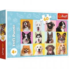Puzzle 60 de piese - Catei