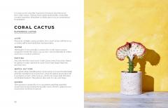 The Big Book of House Plants