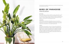 The Big Book of House Plants