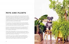 The Big Book of House Plants