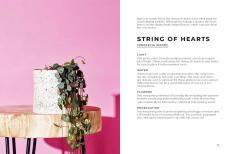 The Big Book of House Plants